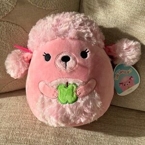 Squishmallows Pink and Green Plush Toy named Chloe new with tags